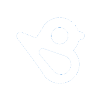 birdeye icon